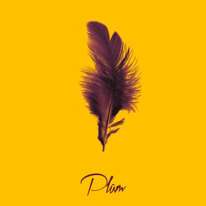 Listen to Play Me song with lyrics from PLÜM