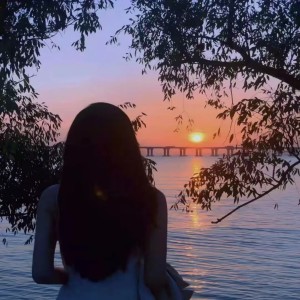 Listen to 我排队拿着爱情号码牌 (陕西话版) song with lyrics from 叶景秋