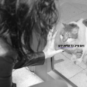 Listen to חבלים song with lyrics from נינט טייב