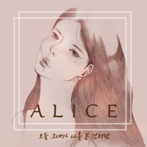 收听앨리스的오늘 그대가 나를 본 것처럼歌词歌曲