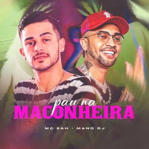 Listen to Pau na Maconheira (Explicit) song with lyrics from MC 2AH
