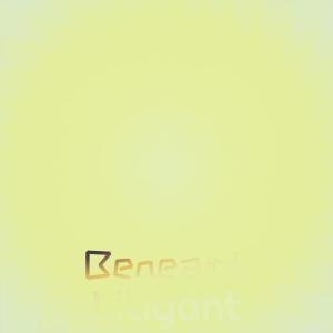 Album Beneath Litigant from Various