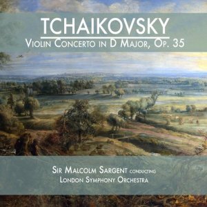 ดาวน์โหลดและฟังเพลง Violin Concerto in D Major, Op. 35: I. Allegro moderato (其他) พร้อมเนื้อเพลงจาก Peter Ilyich Tchaikovsky
