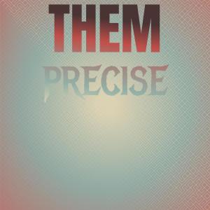 Various Artists的專輯Them Precise