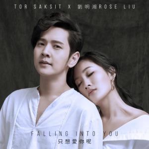 收聽ToR Saksit的只想愛你呢歌詞歌曲