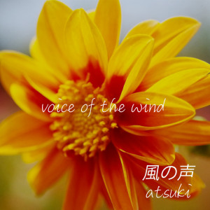Cyber Diva的專輯voice of the wind (feat. Mew & CYBER DIVA)