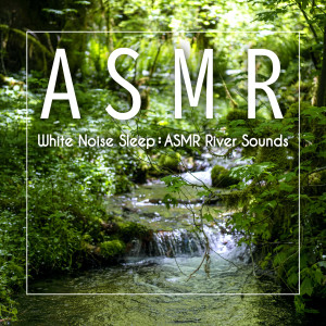 貴族音樂深度睡眠的專輯白噪音睡眠: ASMR自然流水