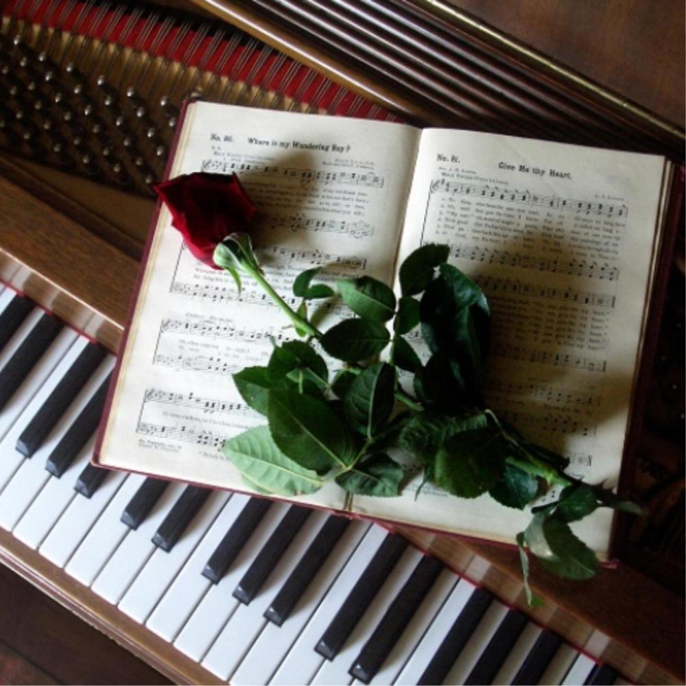 HOW IS YOUR LIFE? (PIANO)