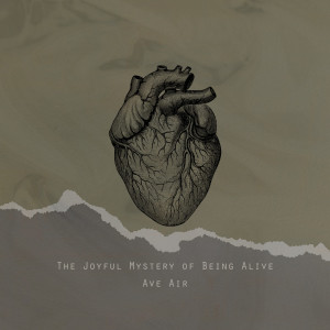 Ave Air的專輯The Joyful Mystery of Being Alive