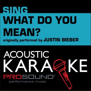 ดาวน์โหลดและฟังเพลง What Do You Mean (Originally Performed by Justin Bieber) [Karaoke Version] (Karaoke Version) พร้อมเนื้อเพลงจาก ProSound Karaoke Band