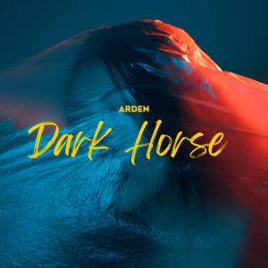 收听Arden的Dark Horse歌词歌曲