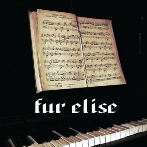 ดาวน์โหลดและฟังเพลง Fur Elise (其他) พร้อมเนื้อเพลงจาก Hollywood Classics Orchestra