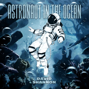 收聽David Shannon的Astronaut In The Ocean歌詞歌曲