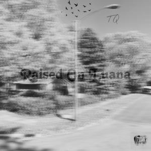 收聽TQ的Raised On Luana (Explicit)歌詞歌曲