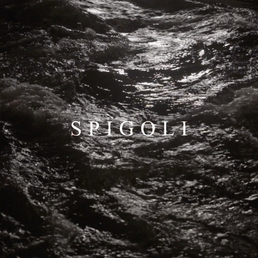 Spigoli