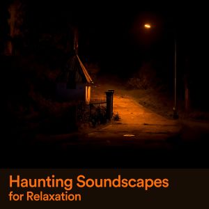 Album Haunting Soundscapes for Relaxation oleh New Age