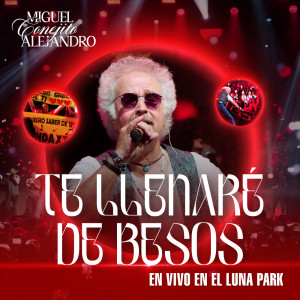 ดาวน์โหลดและฟังเพลง Te Llenaré de Besos (en vivo Luna Park) พร้อมเนื้อเพลงจาก Miguel Alejandro