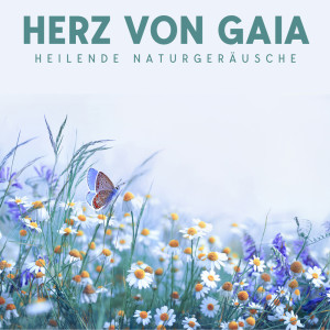 收聽Heilende Geräusche Der Natur Academie的Natürlichen Schlaf歌詞歌曲