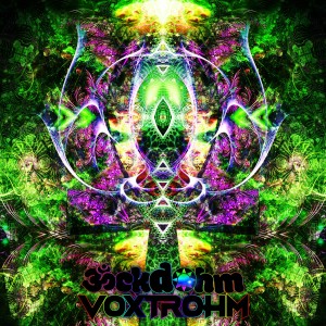 Album Voxtrohm oleh Backdohm