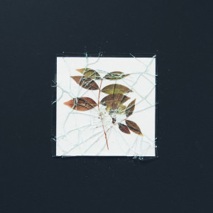 收听Komplimenter的Призраки прошлого歌词歌曲