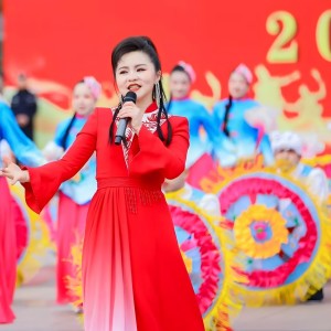 Listen to 娶下个好婆姨 (完整版) song with lyrics from 贾娇