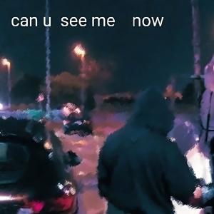 can u see me now (Explicit)