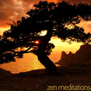 收聽Asian Zen Spa Music Meditation的Flow歌詞歌曲
