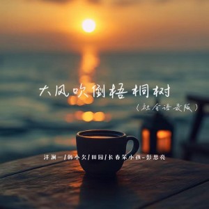 Album 大风吹倒梧桐树（社会语录版） from 洋澜一
