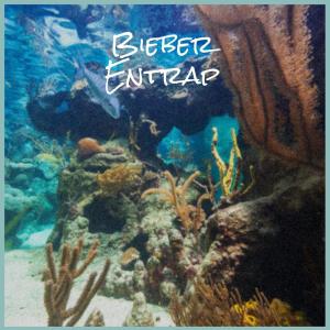 อัลบัม Bieber Entrap ศิลปิน Various