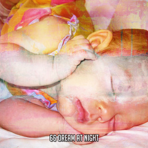 Smart Baby Lullaby的专辑66 Dream At Night
