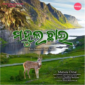 Listen to Mahula Chhai song with lyrics from Gobinda Chandra