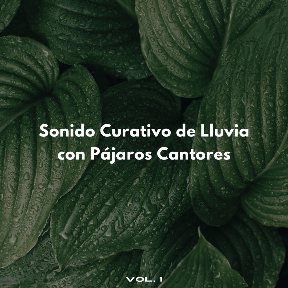 Sonidos De Pájaros Con Sonidos De Lluvia