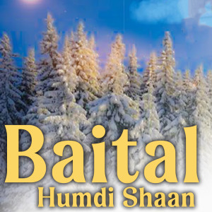 Album Baital Humdi Shaan from Various Artists