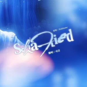 Album Schlaflied from 司音_siyin