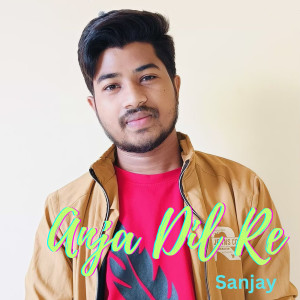 Album Anja Dil Re from Bansingh