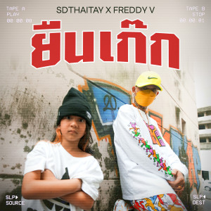 ดาวน์โหลดและฟังเพลง ยืนเก๊ก (Explicit) พร้อมเนื้อเพลงจาก SDthaitay