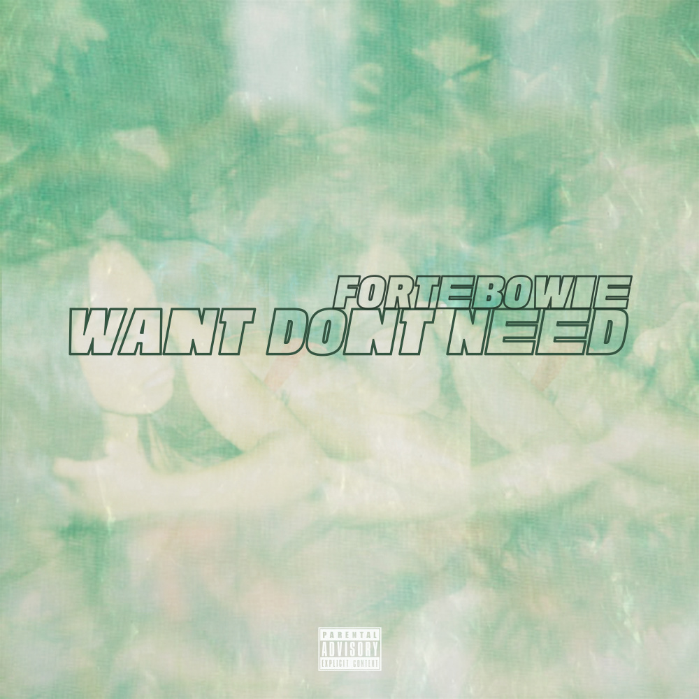 Want Don’t Need (Explicit)