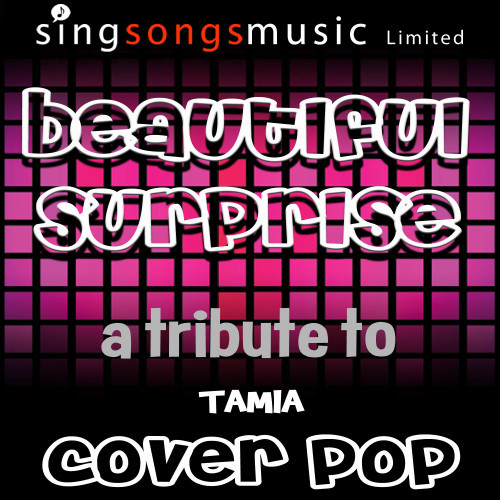 Beautiful Surprise (Originally Performed By Tamia) [Karaoke Audio Version] (Karaoke Audio Version)