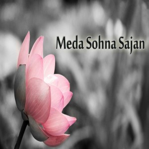 收听Shoaib Sangi的Mohabbat Main歌词歌曲