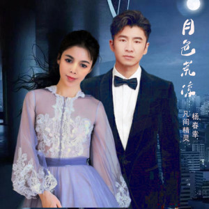 Listen to 月色荒凉 DJ （阿能） (完整版) song with lyrics from 杨春幸