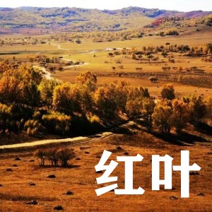 收聽群星的一滴淚兩心傷歌詞歌曲