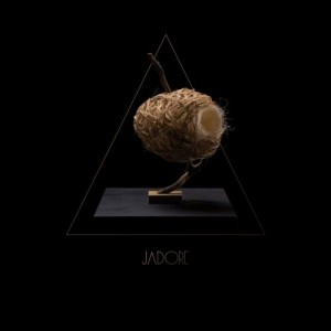 Dengarkan R lagu dari Jadore dengan lirik