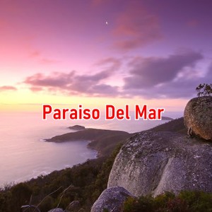 Listen to Se Fue Mi Mujer song with lyrics from Oscar Velasquez