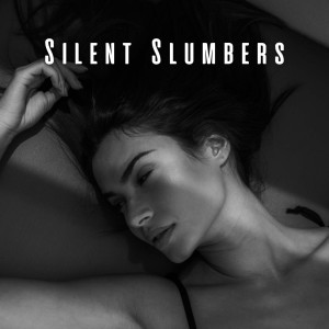 voyager的專輯Silent Slumbers: Ambient Music for Restful Sleep