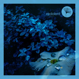 收聽oscar de rivera的Blue Velvet (Extended Mix)歌詞歌曲