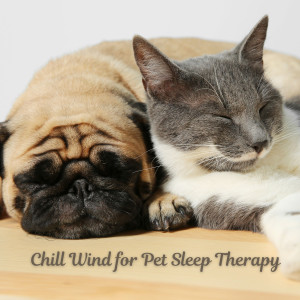 Chill Wind for Pet Sleep Therapy dari Organic Nature Sounds