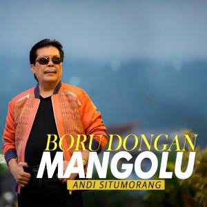 收聽Andi Situmorang的Boru Dongan Mangolu歌詞歌曲