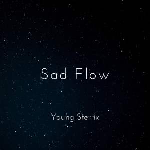ดาวน์โหลดและฟังเพลง Sad Flow (Explicit) พร้อมเนื้อเพลงจาก Young Sterrix