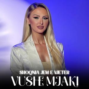 Vushe Mjaki的專輯Shoqnia jem e vjeter
