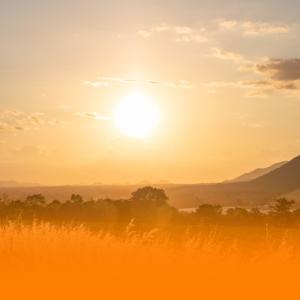 ดาวน์โหลดและฟังเพลง Healing Ambient Music With Nature Sounds And Gentle Piano For Anxiety Relief And Mindfulness พร้อมเนื้อเพลงจาก Chill Bees